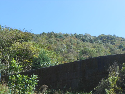 DSCN8690