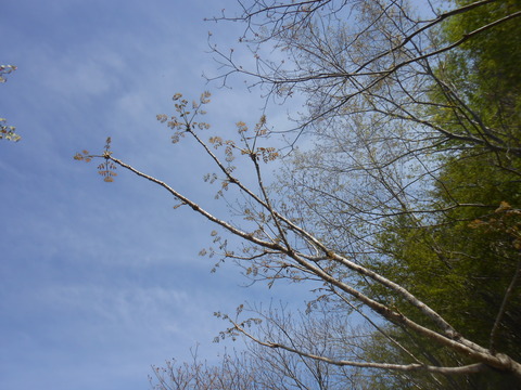 DSCN9135