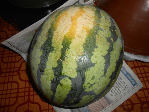 DSCN9463