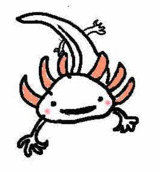 8236f6a9.gif