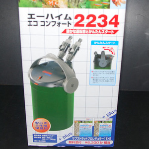 2234