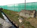 DSC02821
