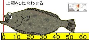 Image9