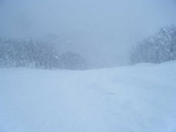 95991b24.jpg