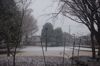 雪景色1