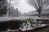 雪景色4