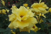 R0011838