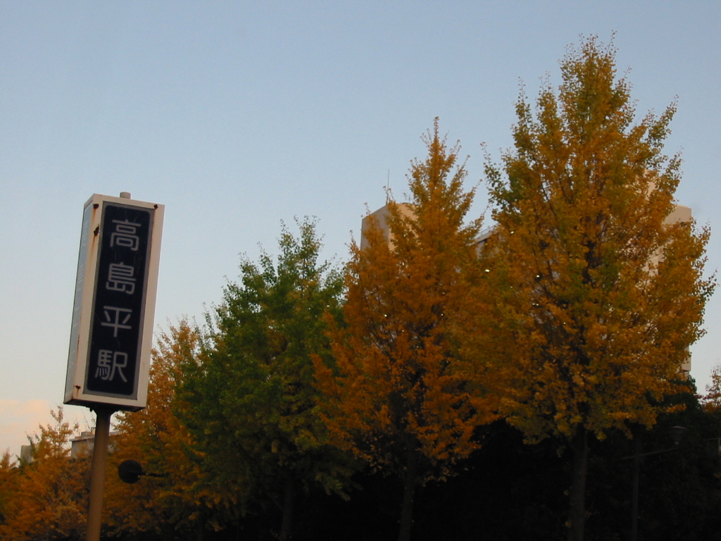 奏(かなで) の掲示板投稿写真＆画像