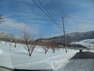 DSCF3811