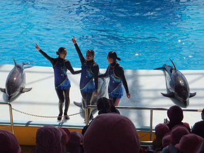 DSCF3877