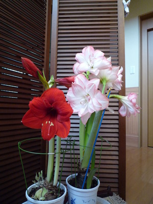 P1000768