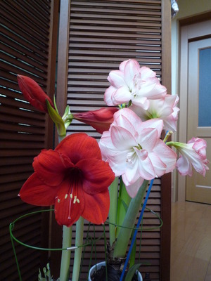 P1000767
