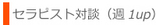 セラピスト対談