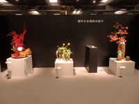 PB055705