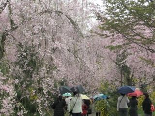CIMG0742