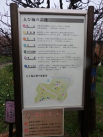 P3055113