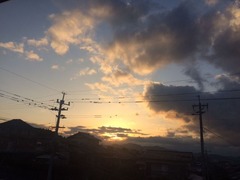 IMG_6139
