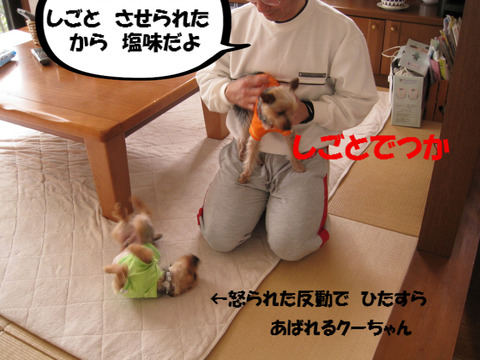 BlogPaint