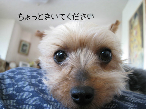 BlogPaint