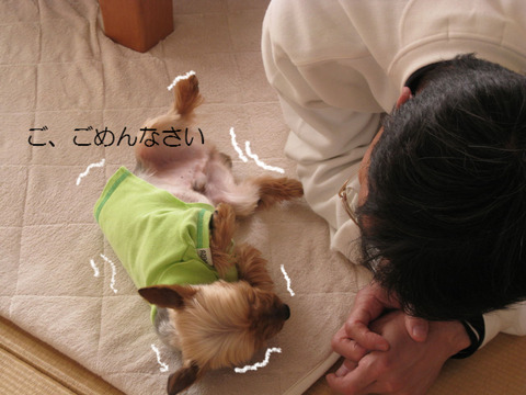BlogPaint