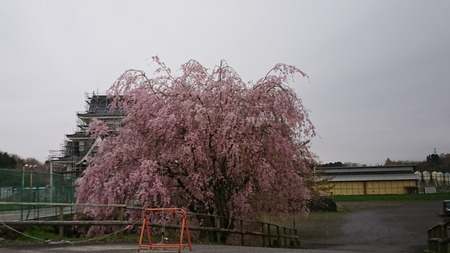 DSC_2739