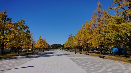 DSC_1196 (1)