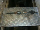s-P1030205