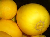 野菜畑_17
