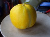 野菜畑_19
