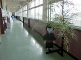 先日のPTA_20