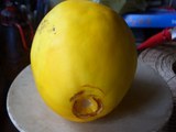 野菜畑_18