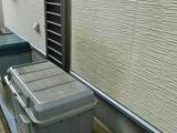 06_H_外壁の藻_01