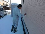 02_I_外壁の藻_01