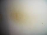 09_S_珪藻土_02