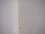 03_W_珪藻土_02