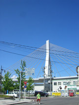 6f036a99.jpg