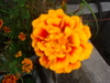 DSC04139