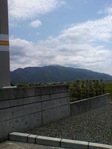2010051610390000