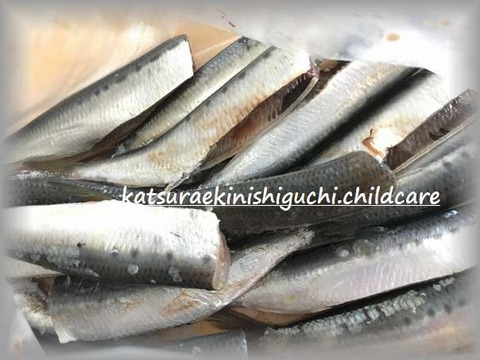 1005給食2
