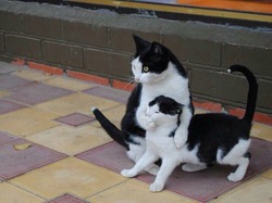 おっとこれ以上は