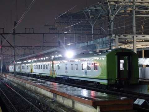 CC300 JNG04