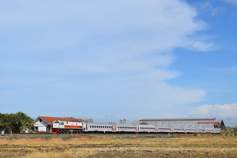 DSC_0193_R
