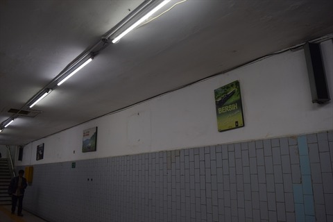 DSC_0107_R