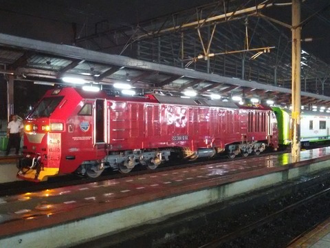 CC300 JNG