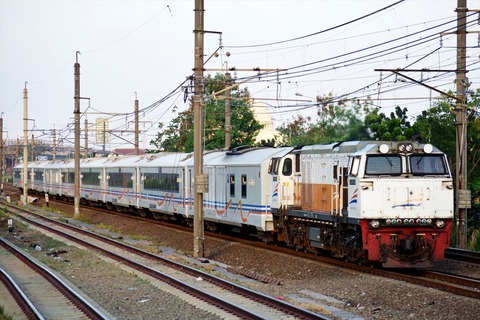 DSC_0263 (2)_R