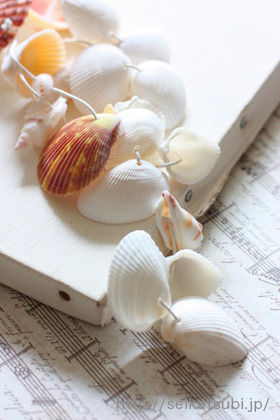 インテリア や 置物にピッタリな貝殻 スターフィッシュ 貝 貝殻 二枚貝 オブジェ インテリア 置物 白