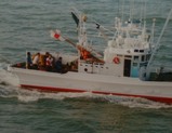0811523a.jpg