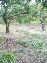 276003c2.jpg