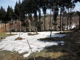 2d029834.jpg