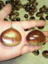 okute